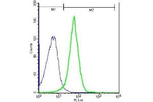 Mouse probed with Rabbit Anti-TRPM2 Polyclonal Antibody, Unconjugated (ABIN681223) (green) at 1:100 for 40 minutes followed by a FITC conjugated secondary compared to control cells (blue). (TRPM2 Antikörper  (AA 951-1050))