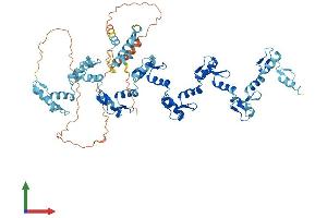 AlphaFold protein structure predicition of Human Recombinant ZNF135 Protein, UniprotID P52742