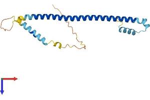ATF3 Protein (AA 1-181) (His tag)