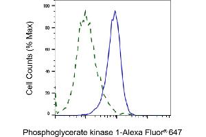 Validation of Phosphoglycerate kinase 1 knockdown using flow cytometry. (PGK1 Antikörper)