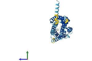 Protein Structure (PS) image for Pyrimidinergic Receptor P2Y, G-Protein Coupled, 6 (P2RY6) (AA 1-328) protein (His tag) (ABIN7561440)