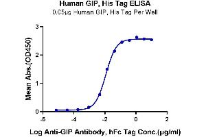 Immobilized Human GIP, His Tag at 0. (GIP Protein (AA 22-93) (His tag))