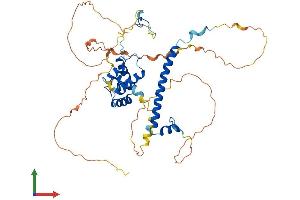 AlphaFold protein structure predicition of Mouse Recombinant Rcor3 Protein, UniprotID Q6PGA0