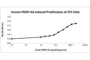 SDS-PAGE of Human Platelet Derived Growth Factor-AA Recombinant Protein Bioactivity of Human Platelet Derived Growth Factor-AA Recombinant Protein. (PDGF-AA Homodimer Protein)