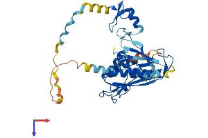 Deltex Homolog 3 Protein (AA 1-347) (His tag)