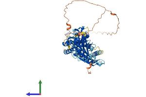AlphaFold protein structure predicition of Human Recombinant TMEM102 Protein, UniprotID Q8N9M5