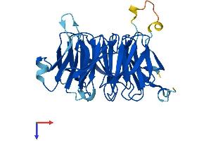 EIF3I Protein (AA 1-325) (His tag)