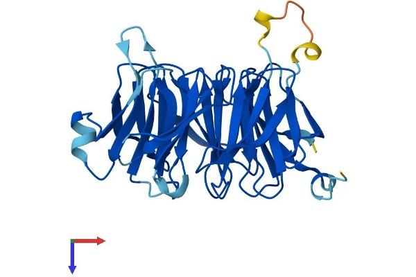EIF3I Protein (AA 1-325) (His tag)