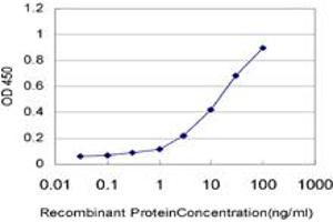 Detection limit for recombinant GST tagged ZNF24 is approximately 0. (ZNF24 Antikörper  (AA 1-368))