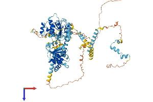 DDX27 Protein (AA 1-796) (His tag)
