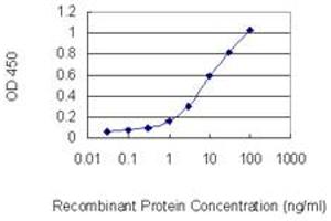 ELISA image for anti-Cyclin Dependent Kinase Like 2 (CDKL2) (AA 394-493) antibody (ABIN563901)