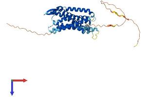 GALR2 Protein (AA 1-371) (His tag)
