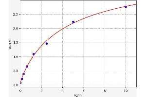 TLR3 ELISA Kit