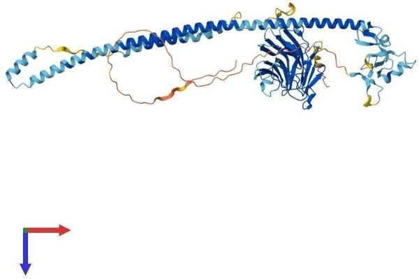 TRIM16 Protein (AA 1-564) (His tag)