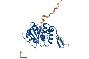 Protein Structure (PS) image for Dual Specificity Phosphatase 14 (DUSP14) (AA 1-198) protein (His tag) (ABIN7561686)