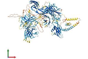 AlphaFold protein structure predicition of Mouse Recombinant Nphp4 Protein, UniprotID P59240