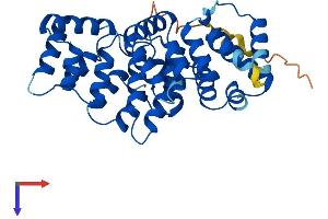 Annexin A9 Protein (ANXA9) (AA 1-345) (His tag)