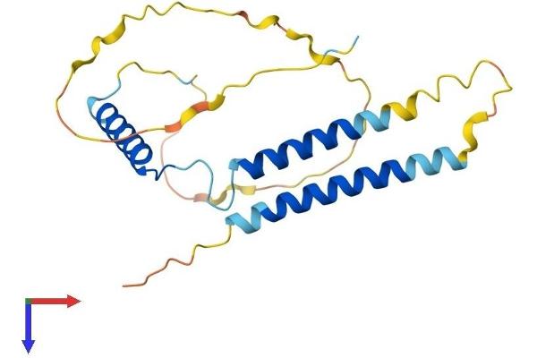 CCDC28B Protein (AA 1-200) (His tag)