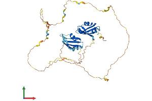 Protein Structure (PS) image for DAZ Associated Protein 1 (DAZAP1) (AA 1-407) protein (His tag) (ABIN7547044)
