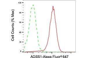 Flow cytometric analysis of ADSS1 expression in HepG2 cells using ADSS1 antibody (ABIN7797525), 1:2,000). (ADSSL1 Antikörper)