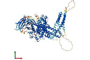 Protein Structure (PS) image for Inositol Polyphosphate-4-Phosphatase, Type II, 105kDa (INPP4B) (AA 1-924) protein (His tag) (ABIN7554159)