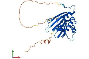 Protein Structure (PS) image for Eukaryotic Translation Initiation Factor 4E Family Member 2 (EIF4E2) (AA 1-245) protein (His tag) (ABIN7548471)