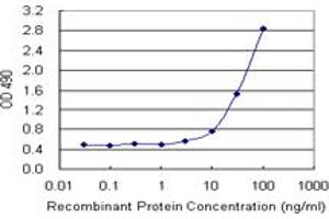 Sandwich ELISA detection sensitivity ranging from 3 ng/ml to 100 ng/ml.