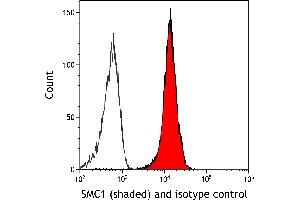 Flow Cytometry (FACS) image for anti-Structural Maintenance of Chromosomes 1A (SMC1A) (C-Term) antibody (ABIN7455193) (Rekombinanter SMC1A Antikörper  (C-Term))