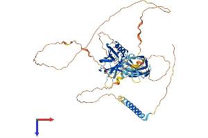 SYT14 Protein (AA 1-555) (His tag)