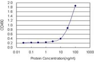 Sandwich ELISA detection sensitivity ranging from 1 ng/mL to 100 ng/mL.