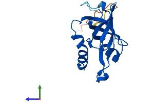 Protein Structure (PS) image for RMI2, RecQ Mediated Genome Instability 2 (RMI2) (AA 1-149) protein (His tag) (ABIN7557250)
