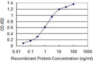 Detection limit for recombinant GST tagged ULK2 is 0. (ULK2 Antikörper  (AA 743-843))