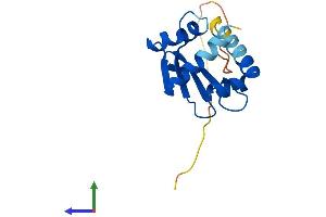 Protein Structure (PS) image for SCP2 Sterol-Binding Domain Containing 1 (SCP2D1) (AA 1-156) protein (His tag) (ABIN7561220)