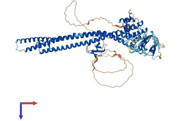 ARHGAP10 Protein (AA 1-786) (His tag)