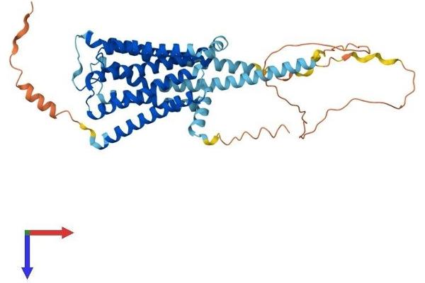 HRH3 Protein (AA 1-445) (His tag)