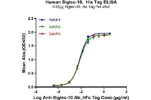 SIGLEC10 Protein (AA 17-546) (His tag)