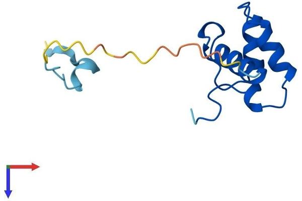 POLD4 Protein (AA 1-107) (His tag)