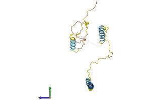 AlphaFold protein structure predicition of Mouse Recombinant Bnip3 Protein, UniprotID O55003