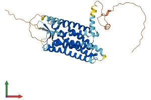 AlphaFold protein structure predicition of Human Recombinant SSTR4 Protein, UniprotID P31391