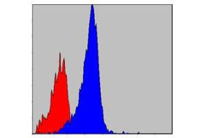 Flow cytometric analysis of NIH/3T3 cells using CRKL monoclonal antibody, clone 5E12  (blue) and negative control (red) . (CrkL Antikörper)