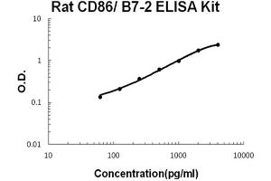Rat CD86/B7-2 Accusignal ELISA Kit Rat CD86/B7-2 AccuSignal ELISA Kit standard curve. (CD86 ELISA Kit)