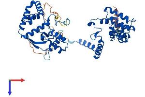 RGS6 Protein (AA 1-472) (His tag)