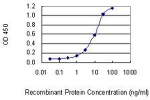 Detection limit for recombinant GST tagged ATF5 is 0. (ATF5 Antikörper  (AA 101-200))