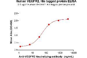 ELISA image for VEGF Receptor 2 (VEGFR2) (AA 20-764) protein (His tag) (ABIN6964112)