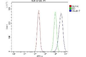 Flow Cytometry analysis of Caco-2 cells using anti-Claudin 7/CLDN-7 antibody (ABIN7602665).