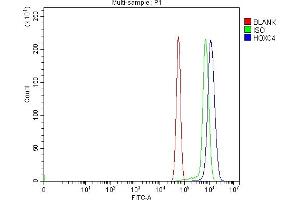Flow Cytometry analysis of RH35 cells using anti-HOXC4 antibody (ABIN7603059). (HOXC4 Antikörper  (Middle Region))