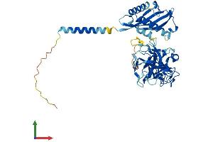 Protein Structure (PS) image for Transmembrane Protease, Serine 11F (TMPRSS11F) (AA 1-438) protein (His tag) (ABIN7544443)