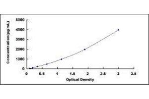 ELISA image for Growth Differentiation Factor 2 (GDF2) ELISA Kit (ABIN6730862)