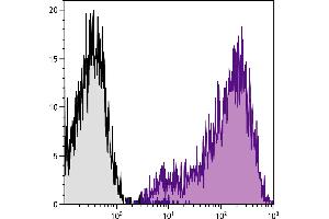 Con-A stimulated BALB/c mouse splenocytes were stained with Hamster Anti-Mouse CD69-PE/CY7. (CD69 Antikörper  (PE-Cy7))