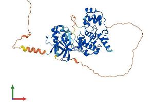 Protein Structure (PS) image for Mitogen-Activated Protein Kinase 10 (MAPK10) (AA 1-464) protein (His tag) (ABIN7554583)